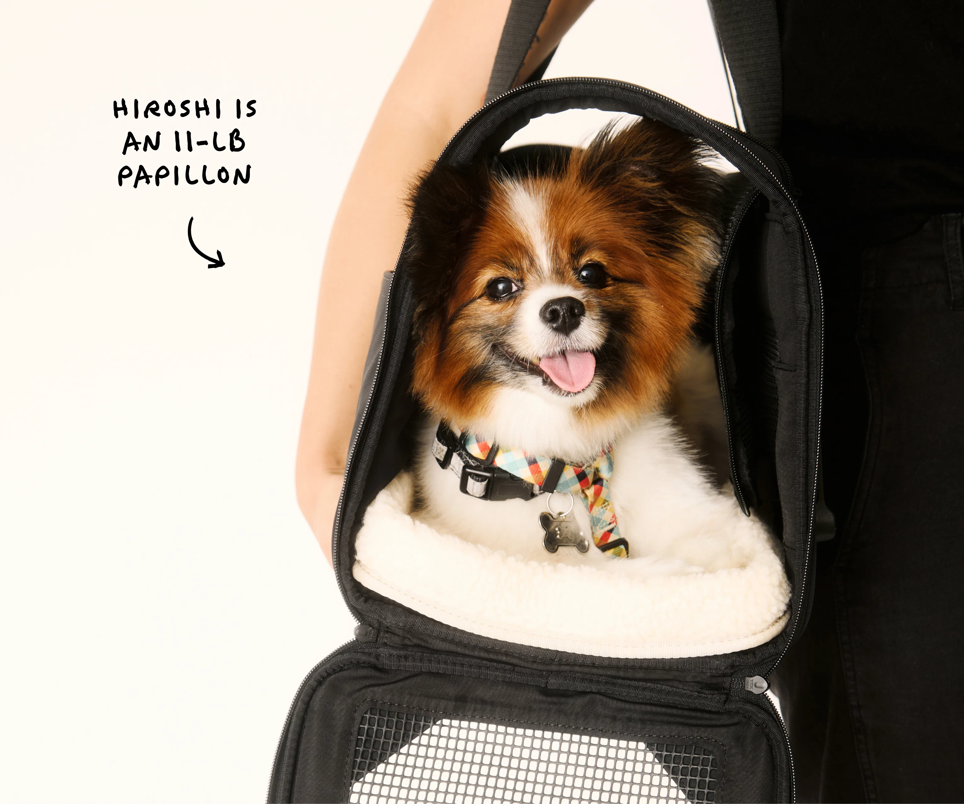 The Pet Carrier in Jet Black - Image 11