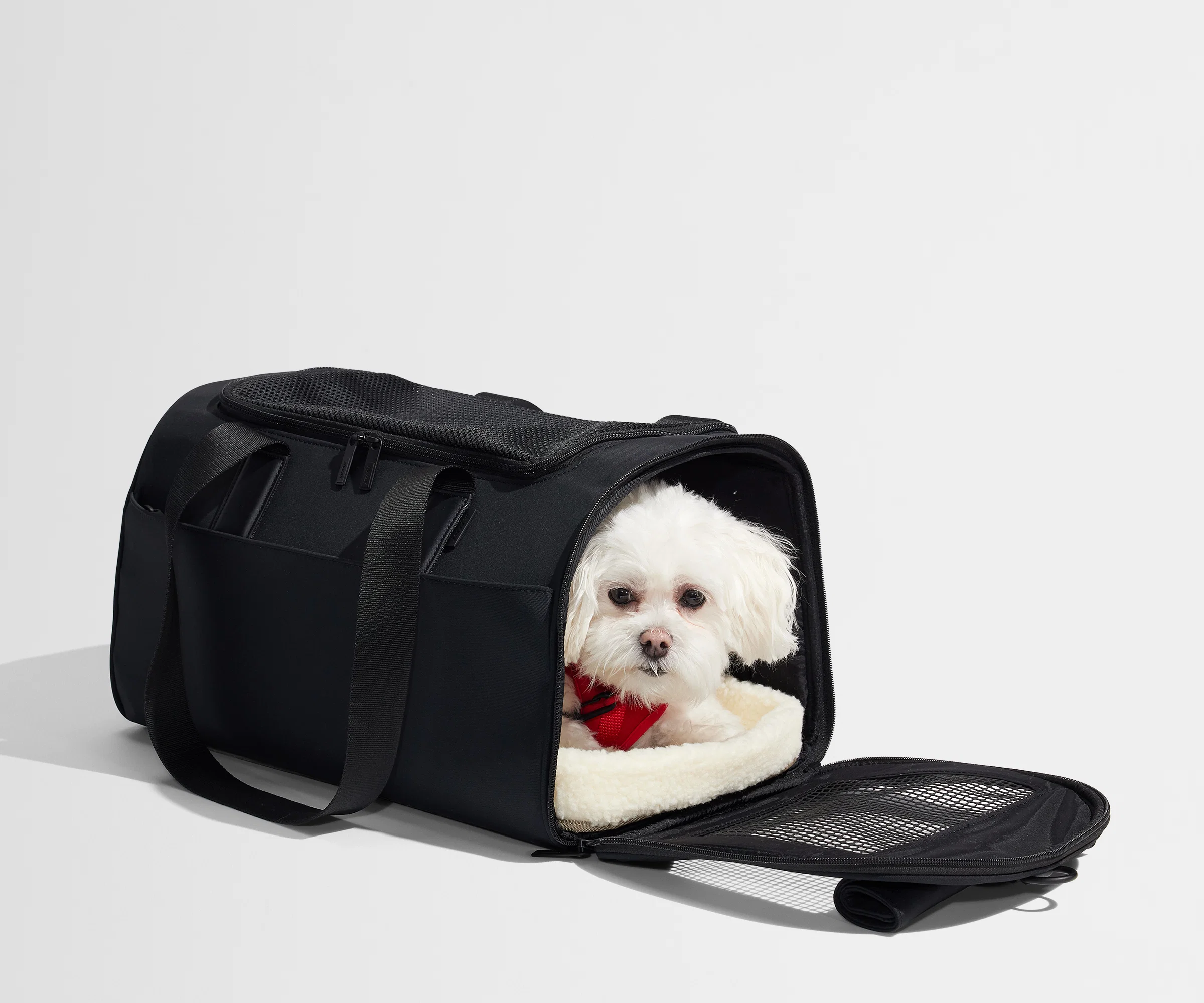 The Pet Carrier in Jet Black - Image 5