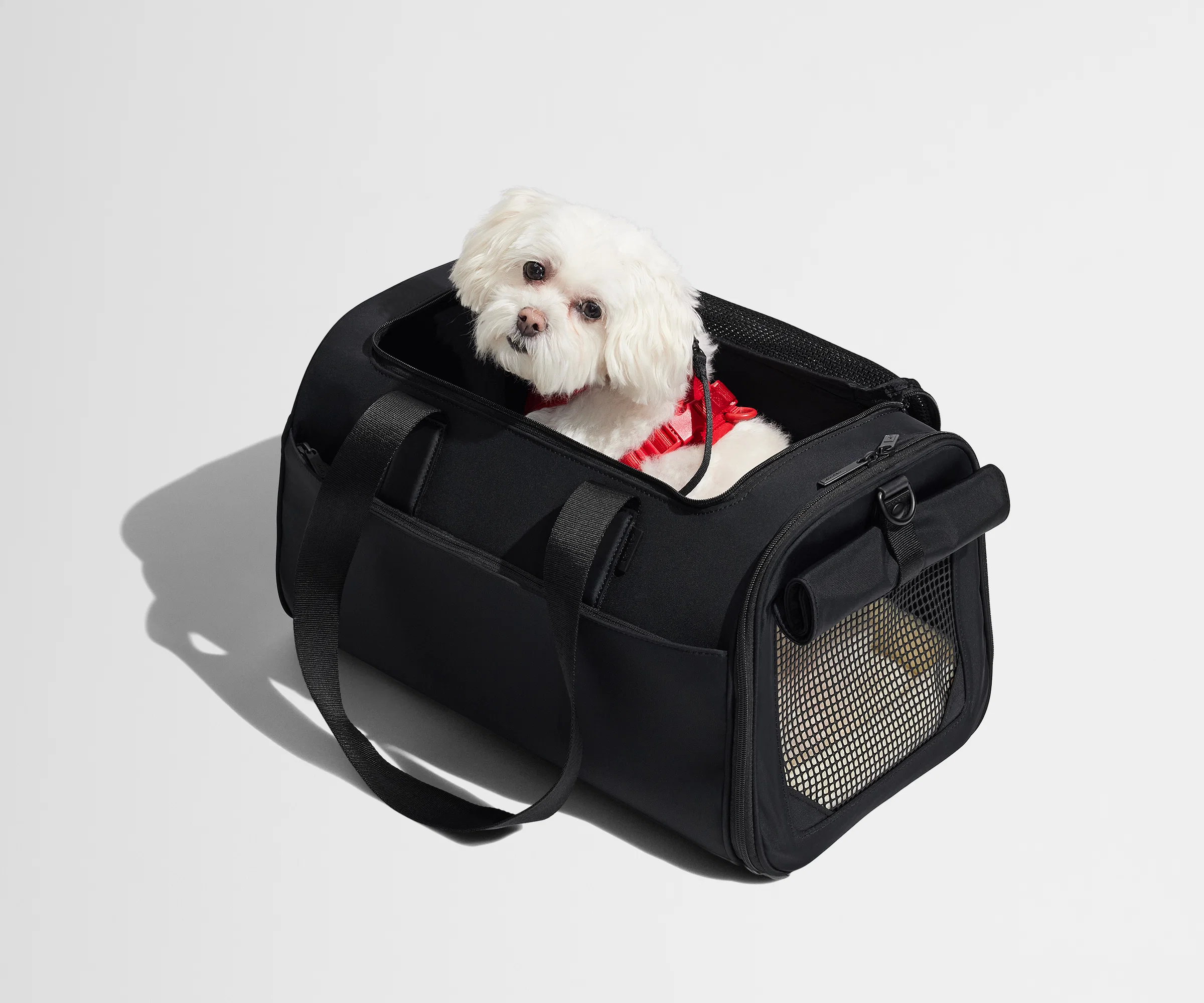 The Pet Carrier in Jet Black - Image 8