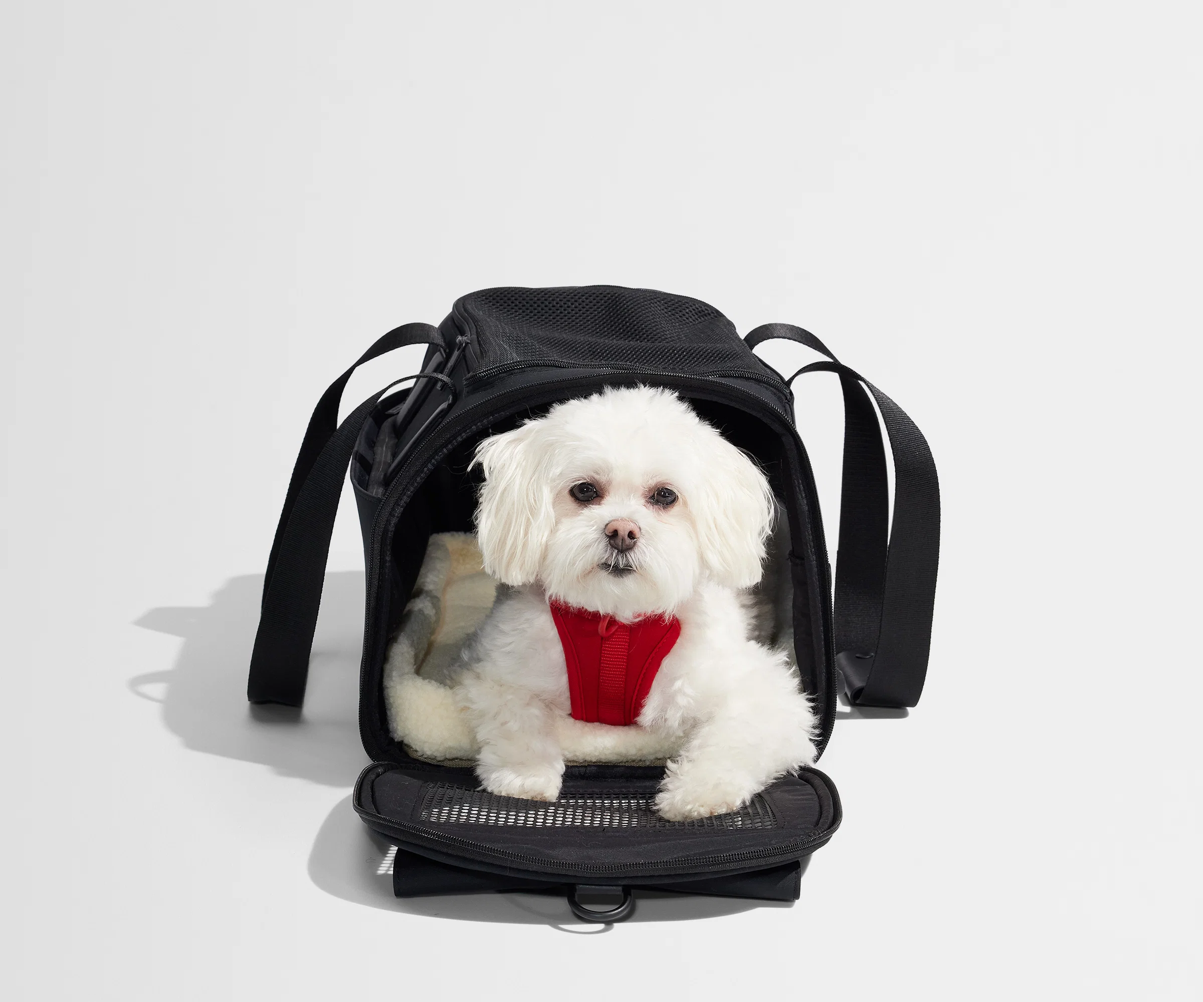 The Pet Carrier in Jet Black - Image 9