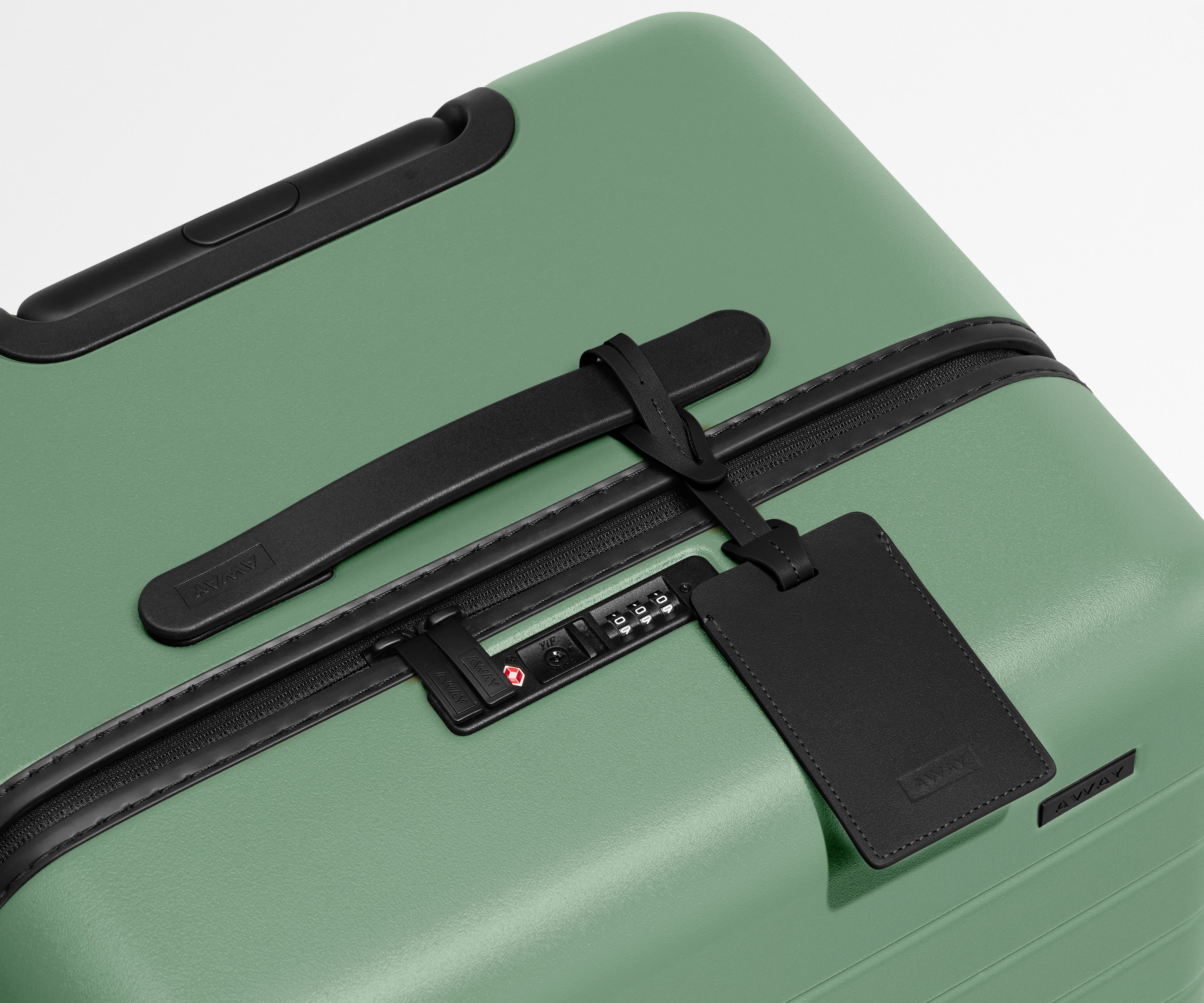 The Trunk in Sea Green - Image 8